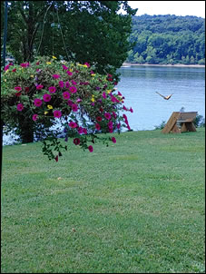 Beauty abounds on the Ohio River